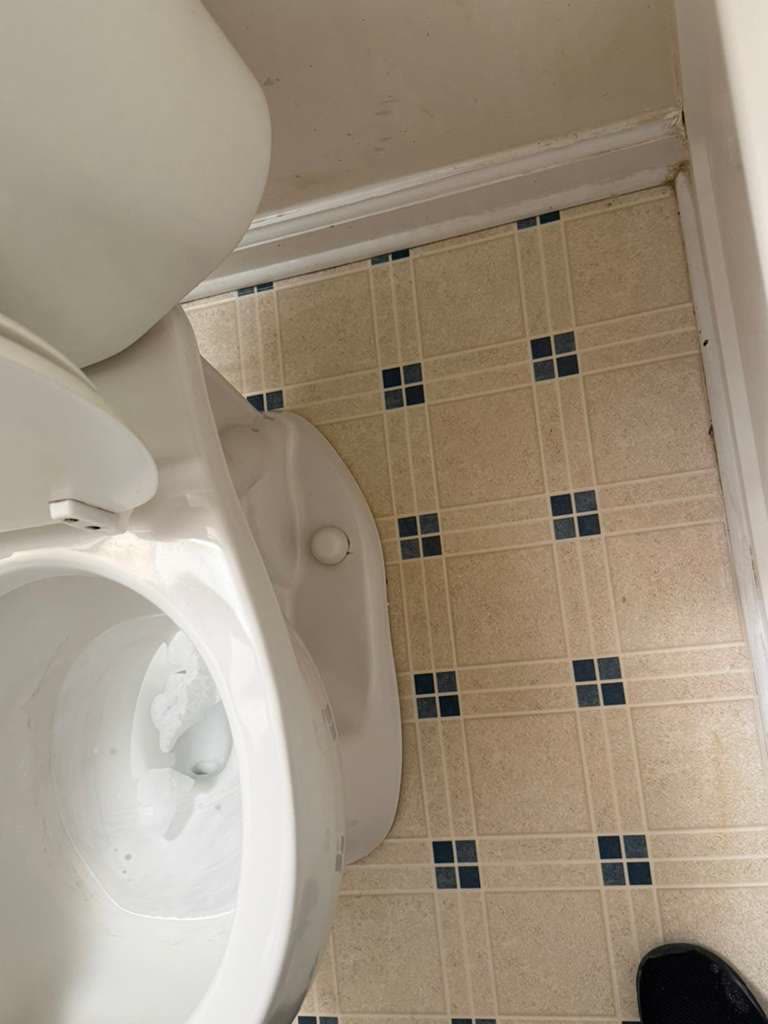 Toilet and floor after cleaning by Everything Cleaner
