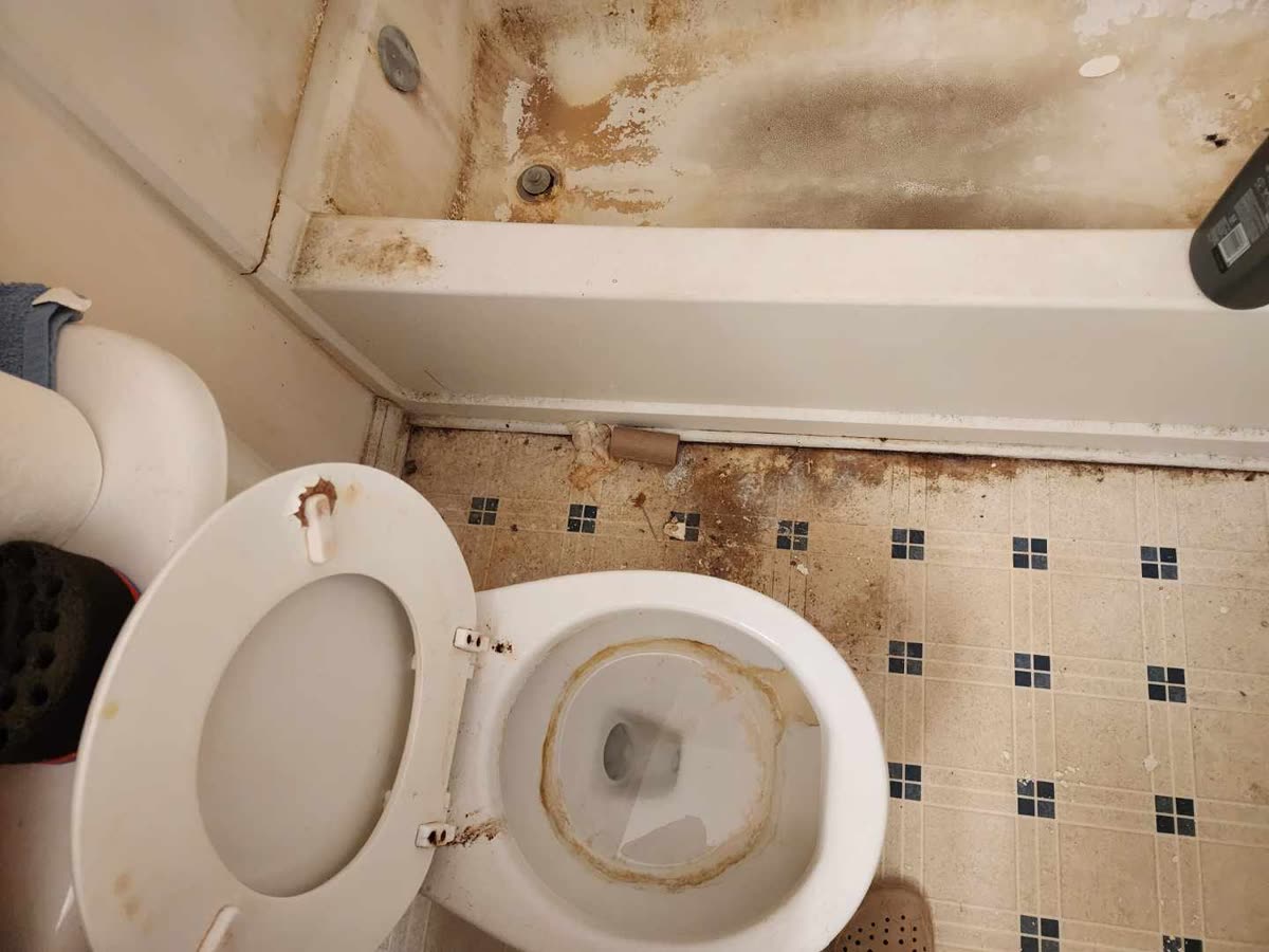 Toilet and floor before cleaning